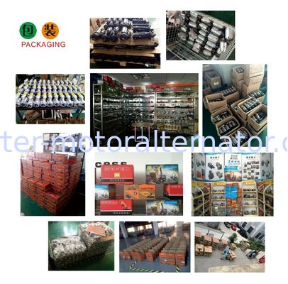 OEM 1197311318 Alternator Regulator with 12 Months Warranty and ISO9001/CE/TS16949 Certification for BOSCH Fitment