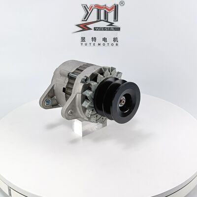 YTM NK215 24V 30A alternatore 6008253160 6008253150 per 6D125 PC400-5 sostituzione di escavatore Komatsu