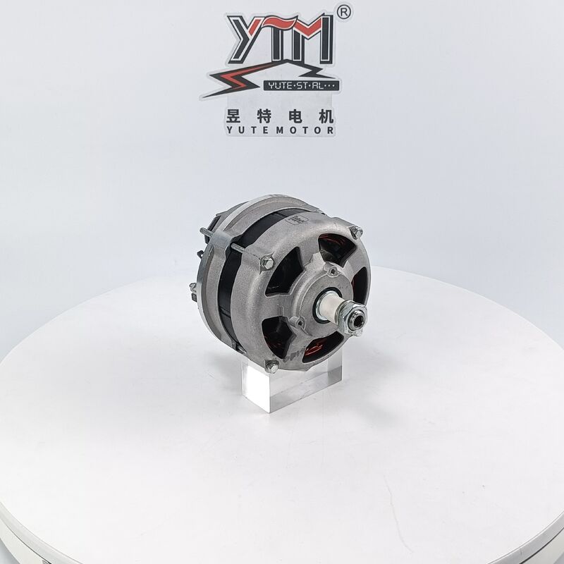 VA493 12V 80A ALTERNATORE 01180661 01182107 per sostituzione Deutz FL1011F