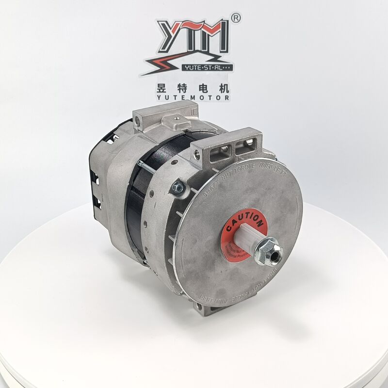 YTM 24V 250A DR290 alternatore OE 3643862 61006082 8600453 per sostituzione di 7321N