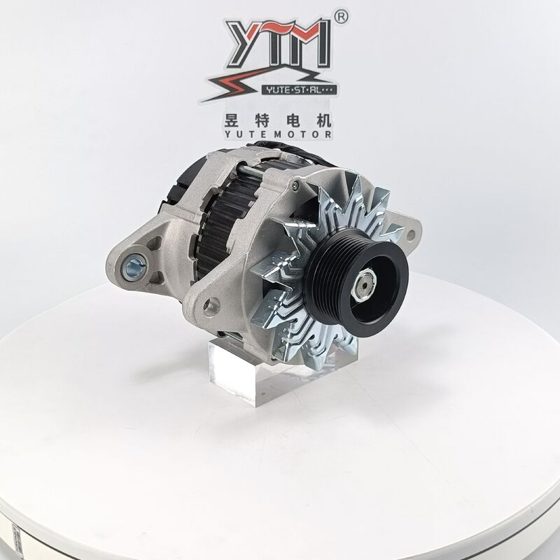 YTM SW203 24V 60A 8PK Motore alternatore elettrico 020117205 27040-2380 per FQ1E E13C Sostituzione pesante